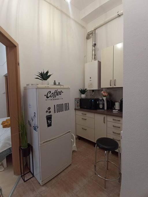 Trendy 2 Room Flat, Next To Corvin Mall Free Huge Garage! Ac,Dishwasher,Washmachine, Smart Tv بودابست المظهر الخارجي الصورة